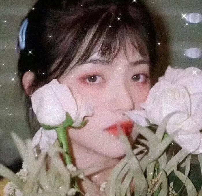 珀利克珊妮
